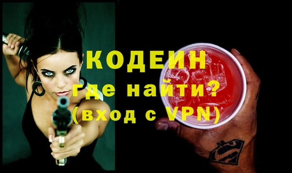 apvp Вяземский
