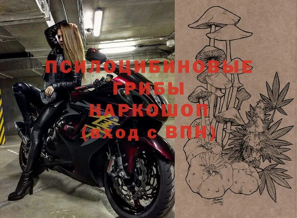 apvp Вяземский