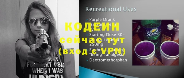 apvp Вяземский