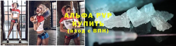 apvp Вяземский