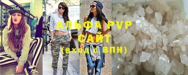apvp Вяземский