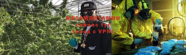 apvp Вяземский