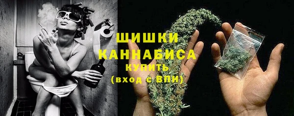 apvp Вяземский