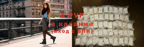 apvp Вяземский