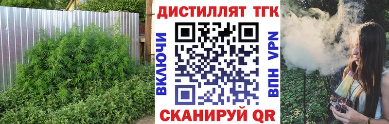 Купить где  Кисловодск  ТГК жижа 