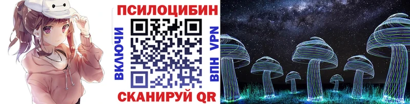 Псилоцибиновые грибы Psilocybe  Купить  Кисловодск 